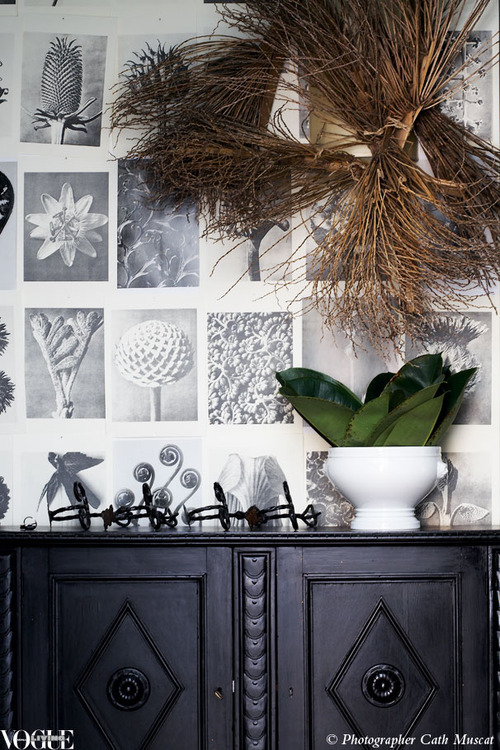 wall decor - botanical images