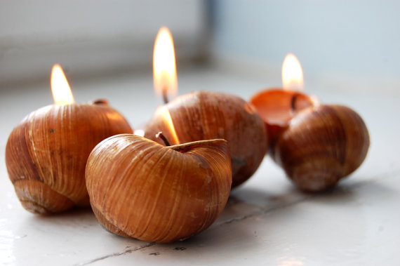 snails shell candles