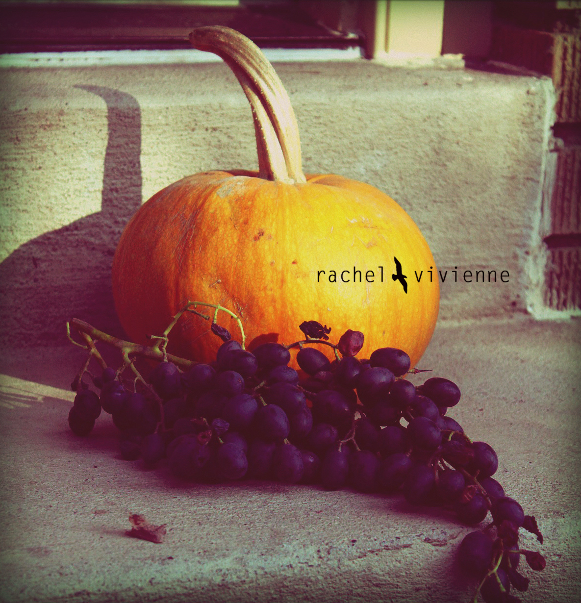 pumpkin and grapes