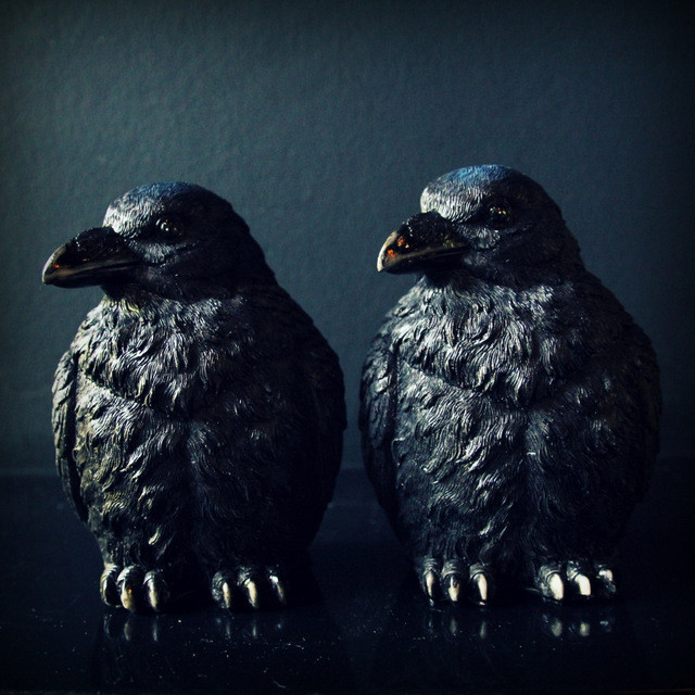 Ravens Bookends from Abigail Ahern's Shop 