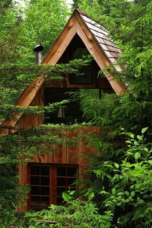 This Amazing Forest House Was Built For Just $11,000 With Locally Found Materials!