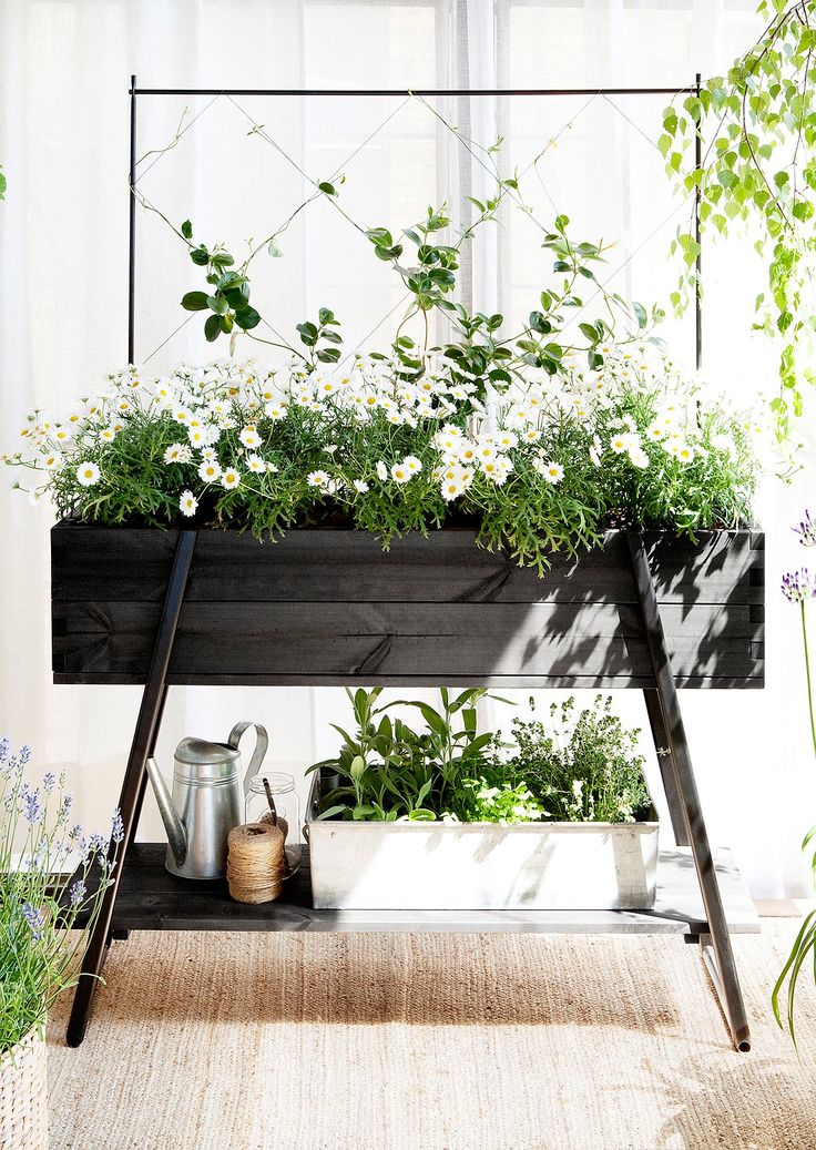 How To Choose Plants for Your Balcony