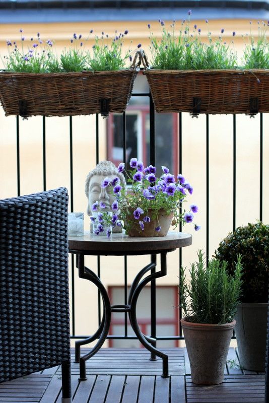How To Choose Plants for Your Balcony - L' Essenziale