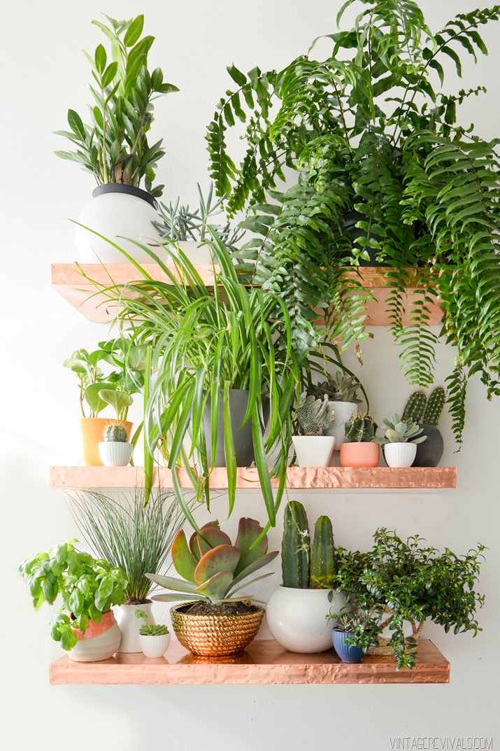 5 Simple Diy Projects To Undertake This Autumn - Diy Plant Wall Shelf Ideas