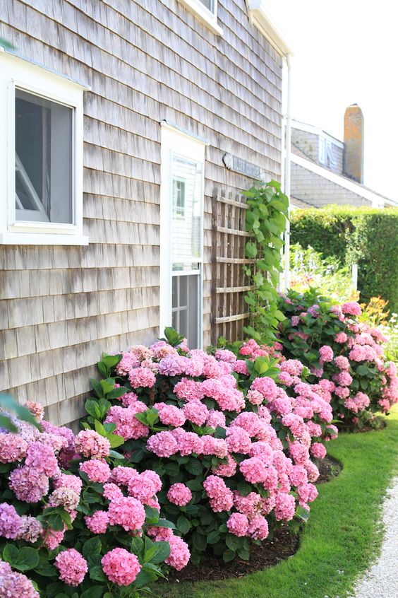 Affordable and Easy Curb Appeal Ideas