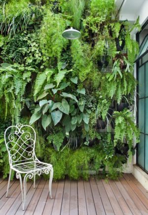 7 Ideas to Give a Spin to Your Small Garden and Turn it into Paradise ...