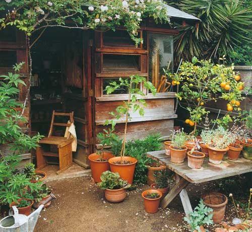small garden 
