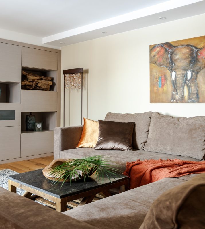 Completed Interior Design Project: Apartment In the Center Of Moscow