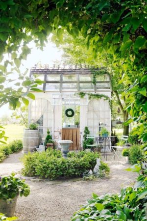 Home Improvement Tips: How to Build a Greenhouse in Your Spacious Yard ...