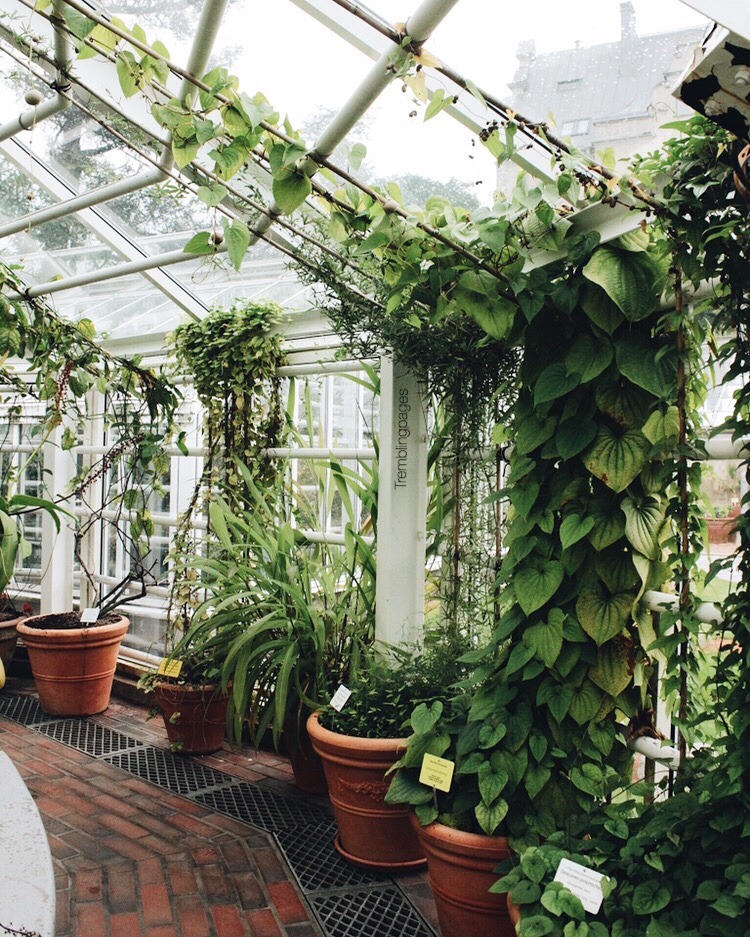 greenhouse L'Essenziale