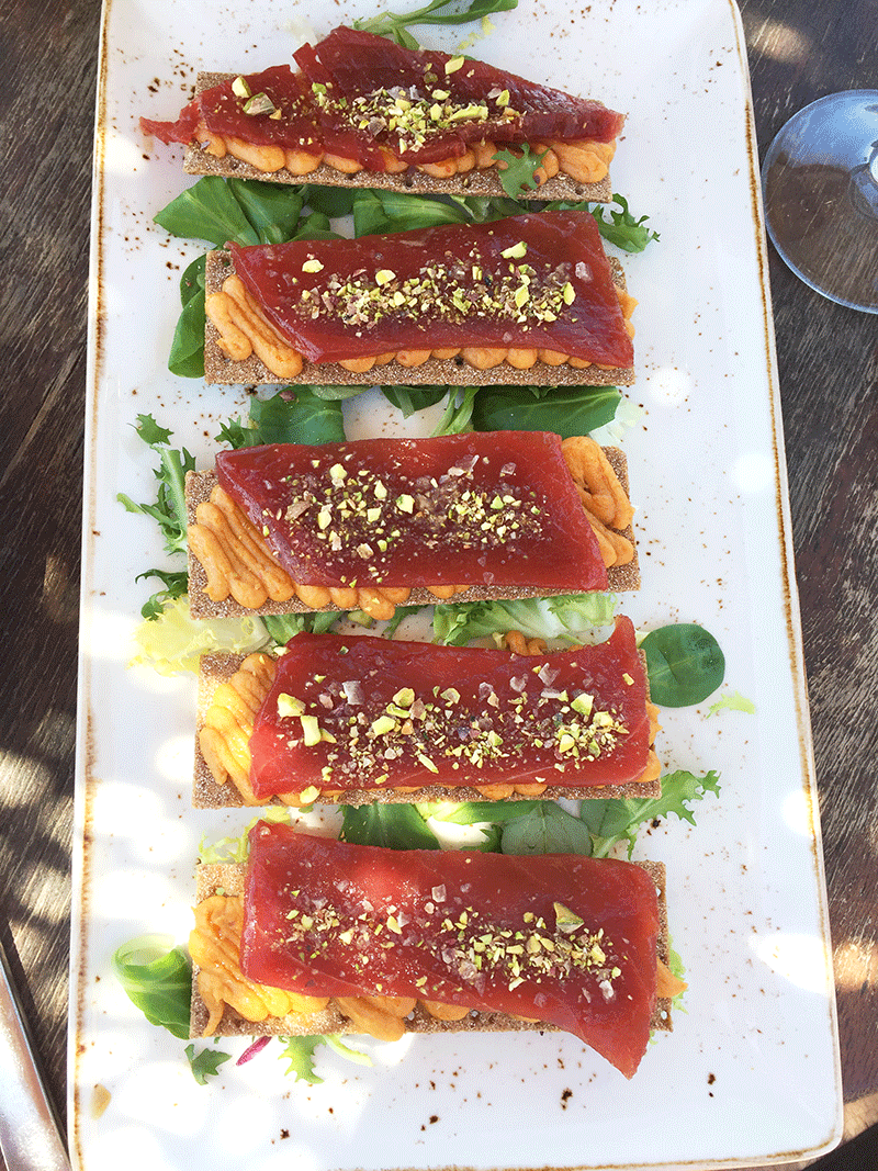 tuna with hummus on rye crisps