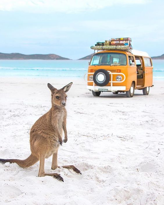 Exploring Australia: From an Interstate Removalist’s Perspective