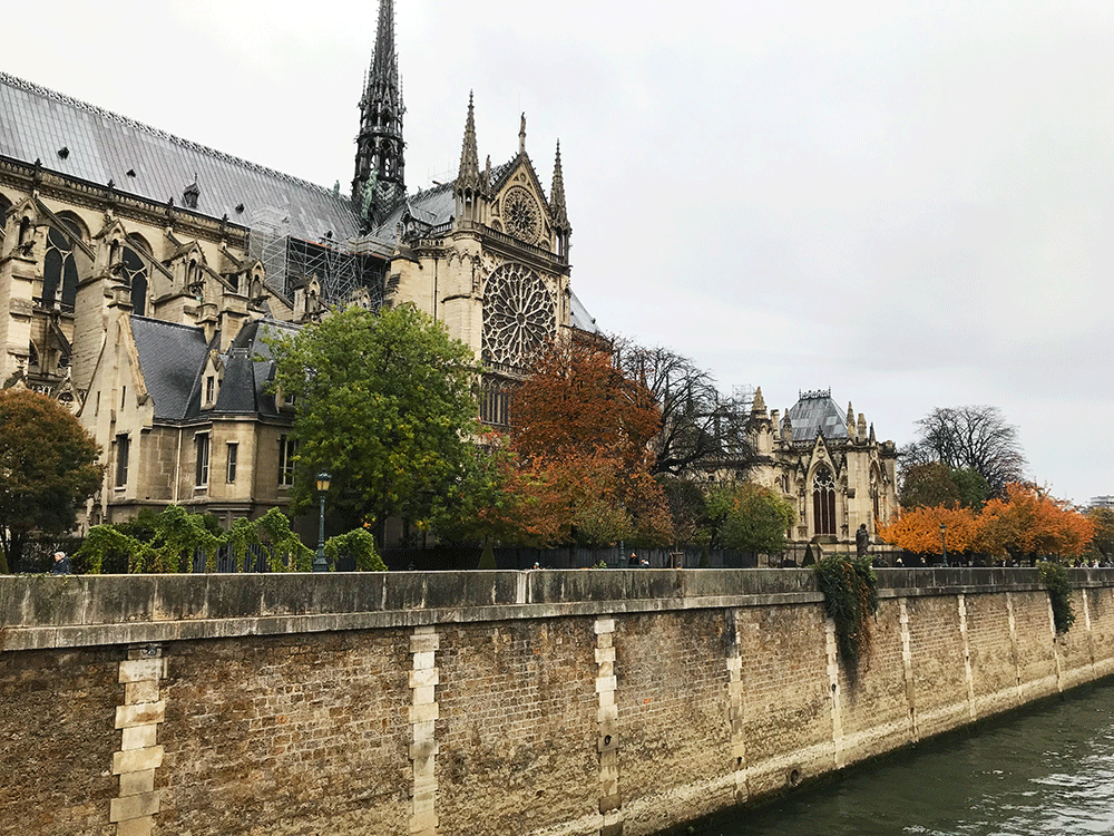 Paris Notre Dame 