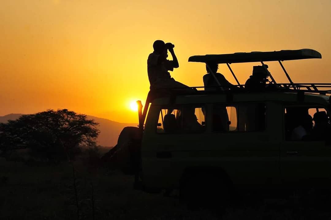 Group traveling in Africa