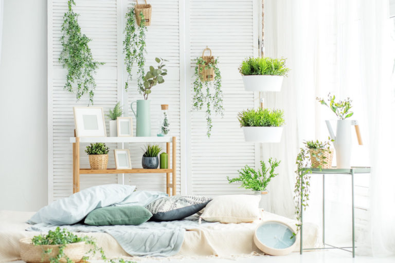 Importance of Plants Indoors: 5 Essential Benefits of Indoor Plants