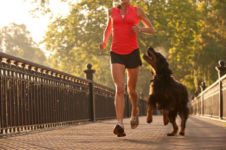 Essential Tips for Jogging with Your Dog
