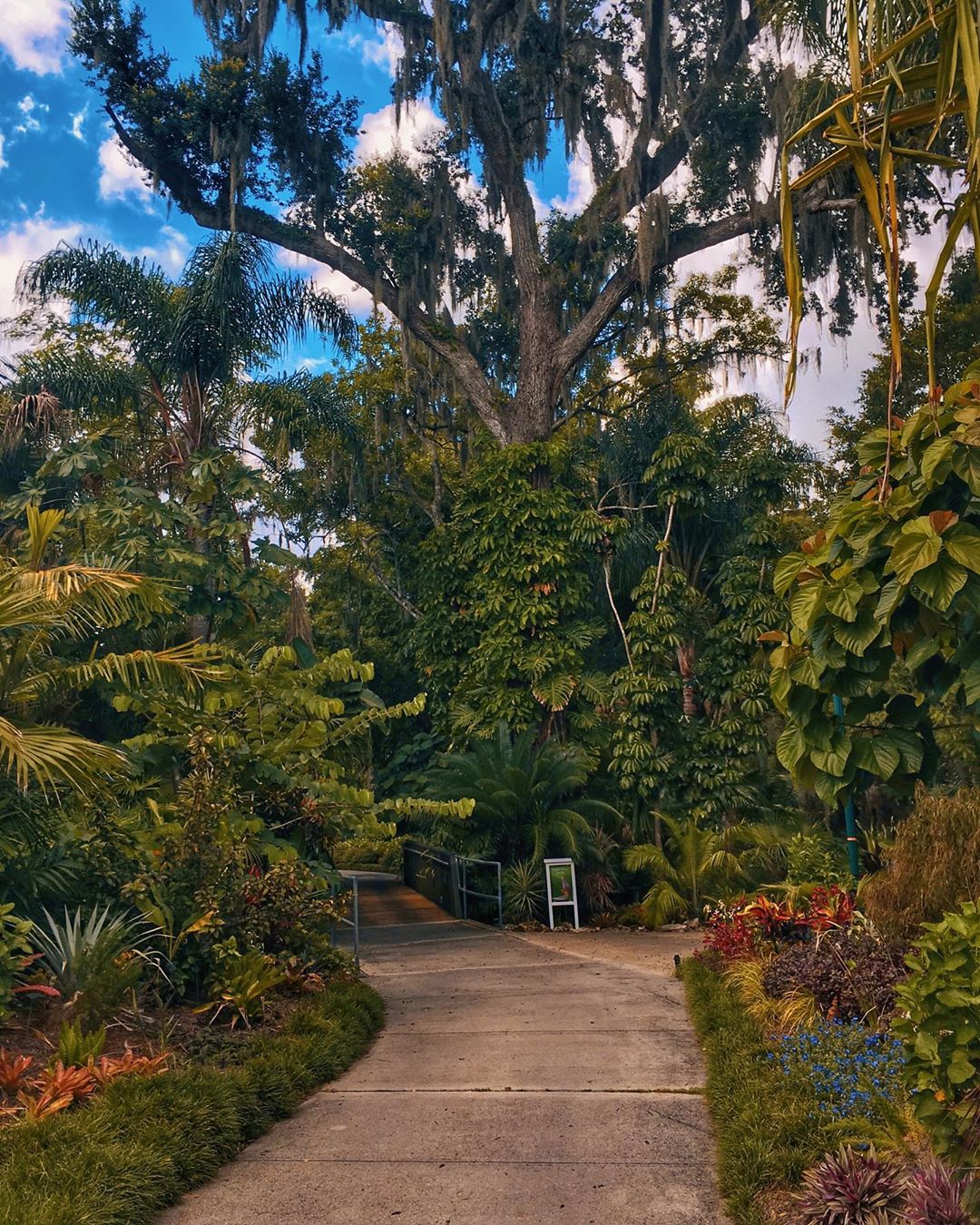 Botanical Garden Orlando