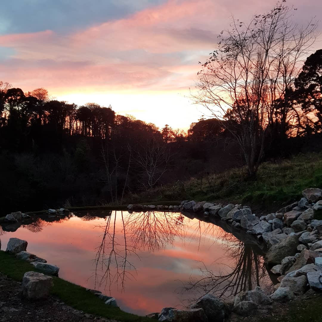 Pond Sunset