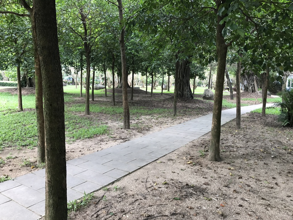 Shaxi Park