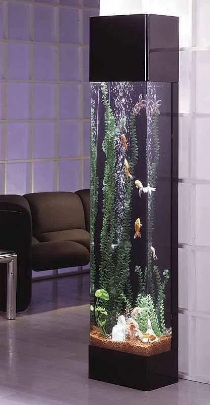 room with an aquarium