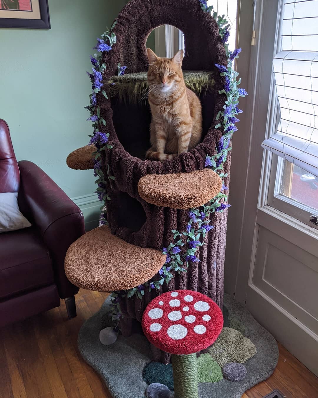 Cat Tower
