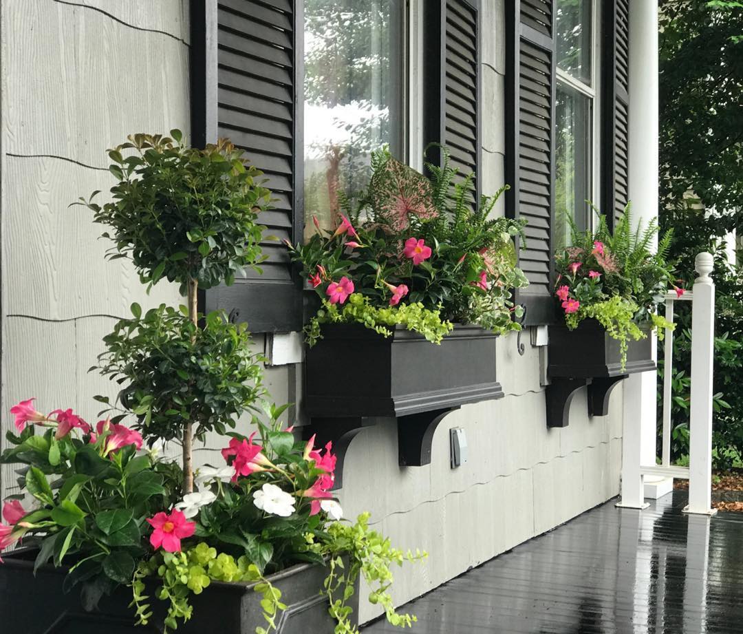 Exterior Appearance Window Boxes