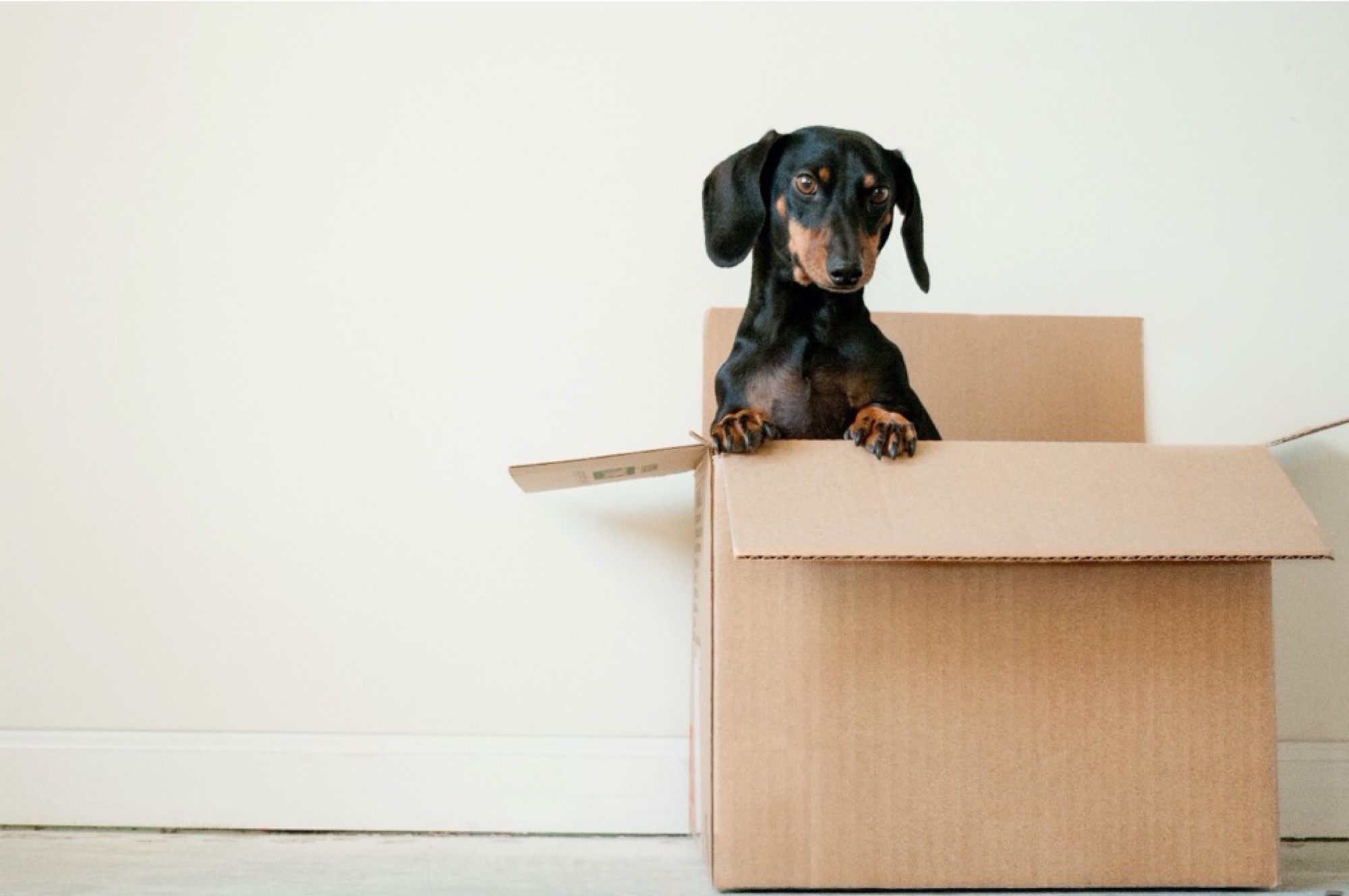 Tips On Interstate Moving Including The Option Of Using Removalists