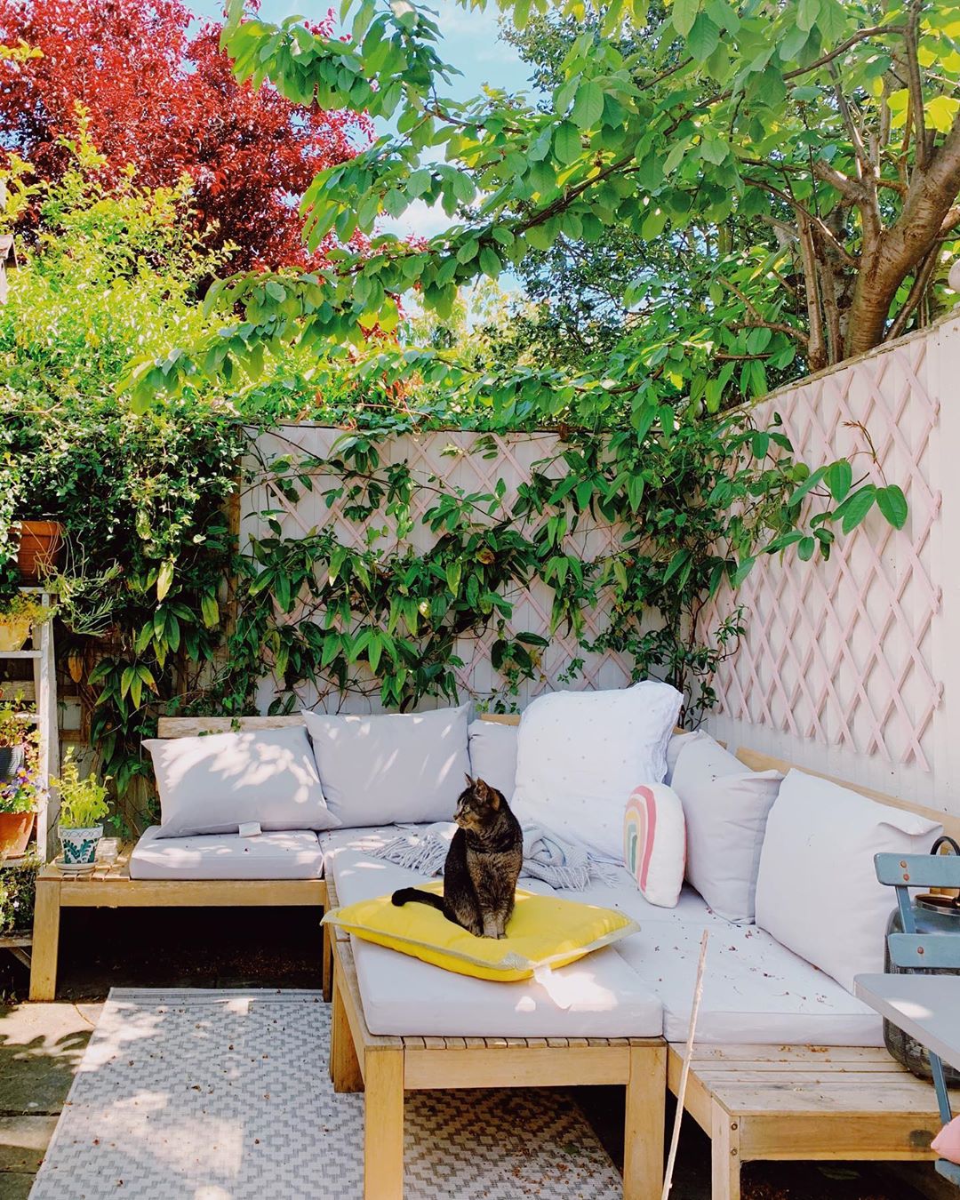 Four Tips To Transform Your Tiny Garden For Spring And Summer