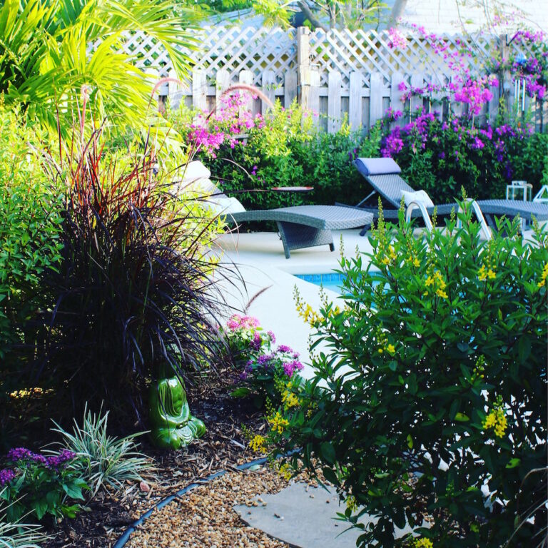 How to Make Even the Smallest Yard a Source of Fun