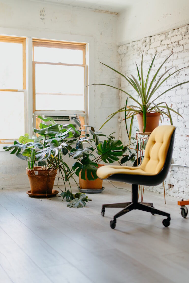7 Simple Additions to Make Your Office More Cozy and Welcoming