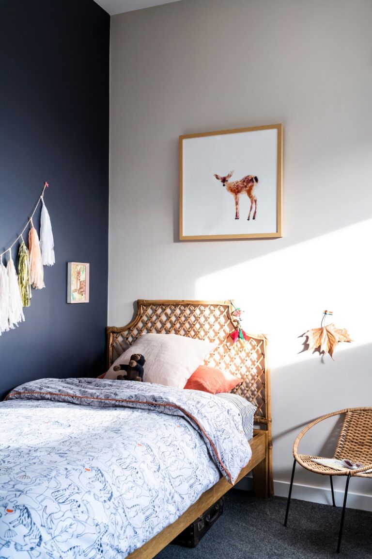 Bold and Joyful Bedroom For Siblings To Share