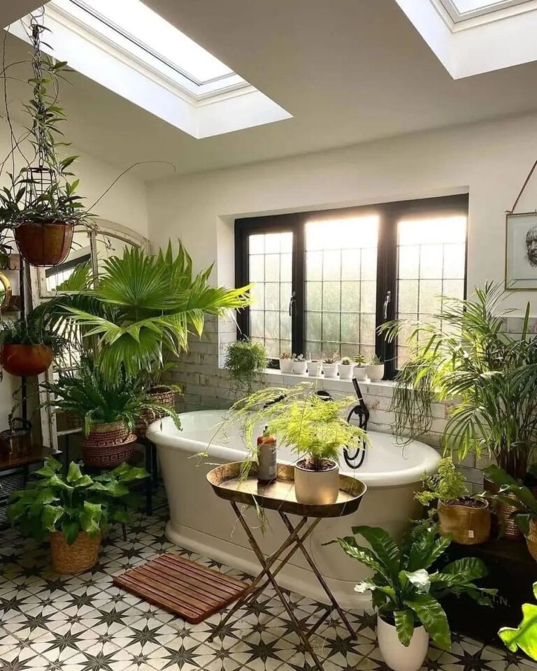Liven Up Home Decor With Large Plants – 8 Recommendations