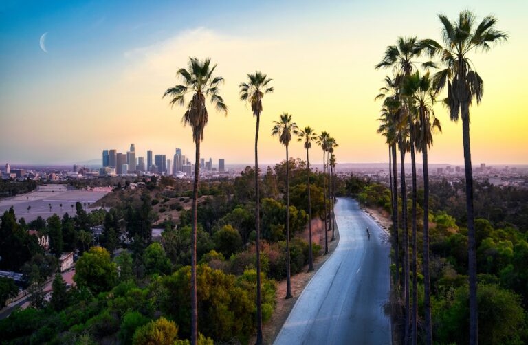 Seven Reasons to Choose LA
