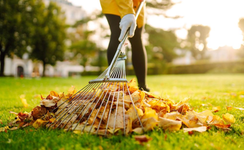 A Guide To Lawn Maintenance For Every Season | L'Essenziale