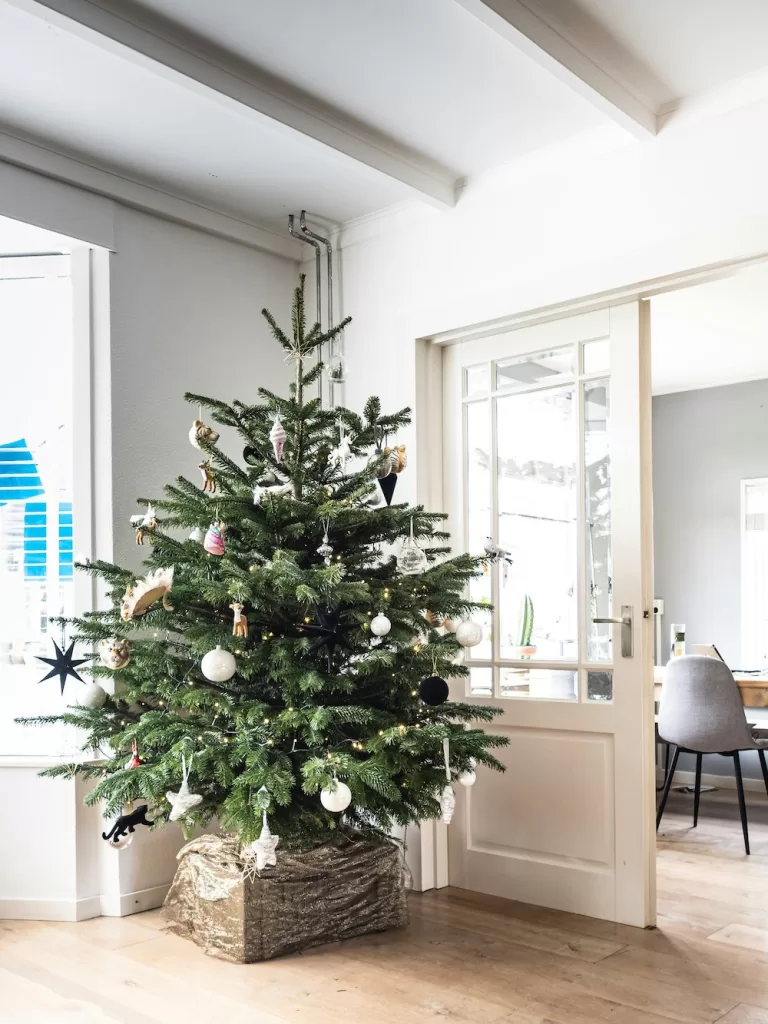 How to Get Your Home Ready for the Holidays