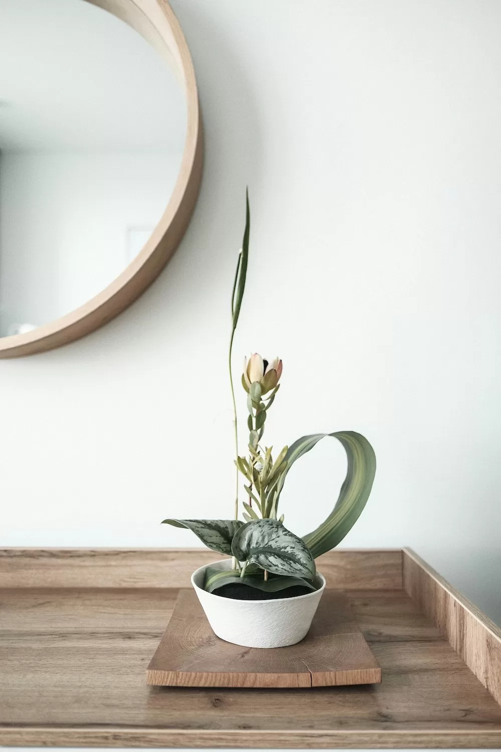 Japanese style interior 