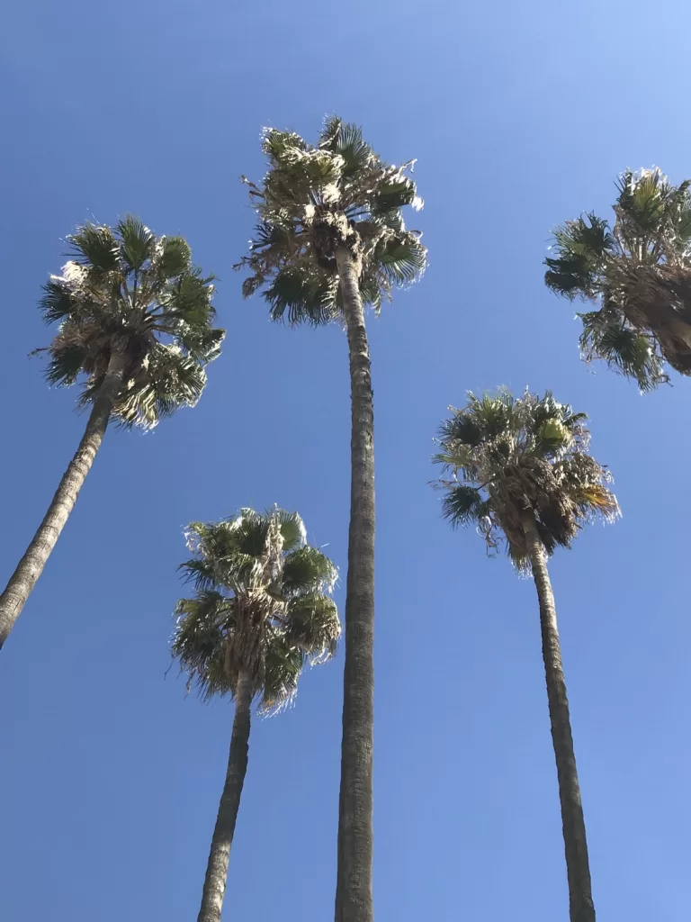 What to Do in Marbella When It’s Too Hot for the Beach