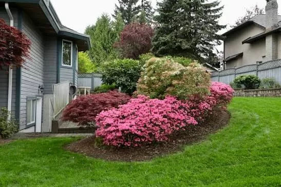 Home Improvements That Add Value Without Over-Improving Your Property